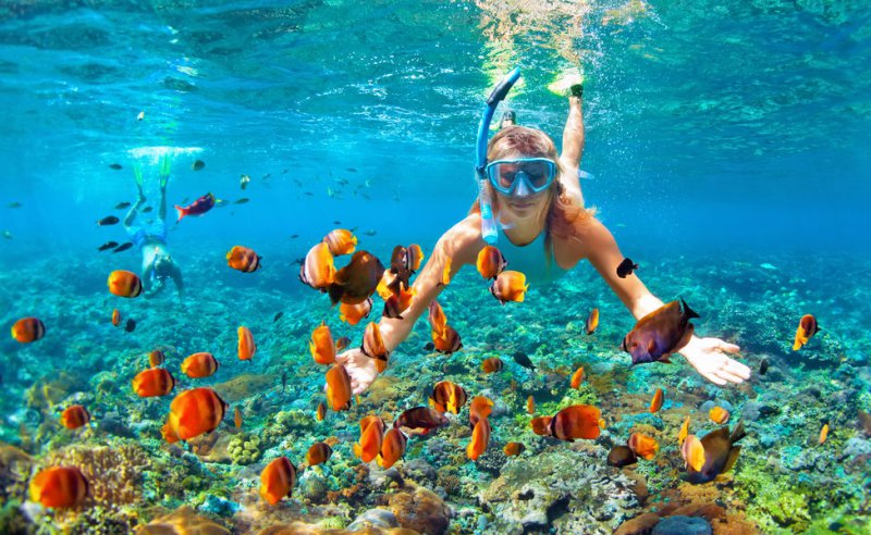 Snorkeling Tour