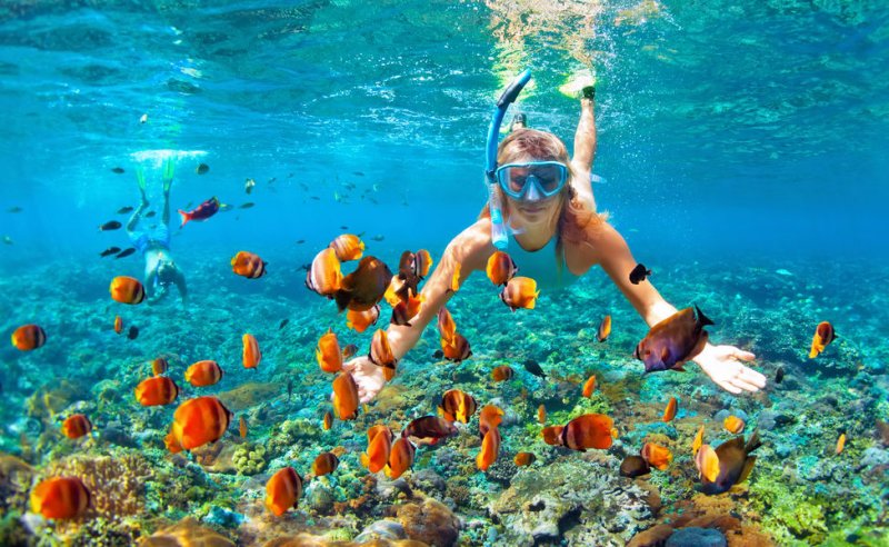 Snorkeling in the Maldives: Exploring the Underwater Wonders