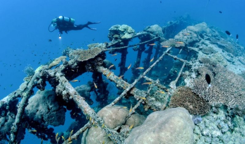 British Loyalty Shipwreck Hithadhoo Island Maldives