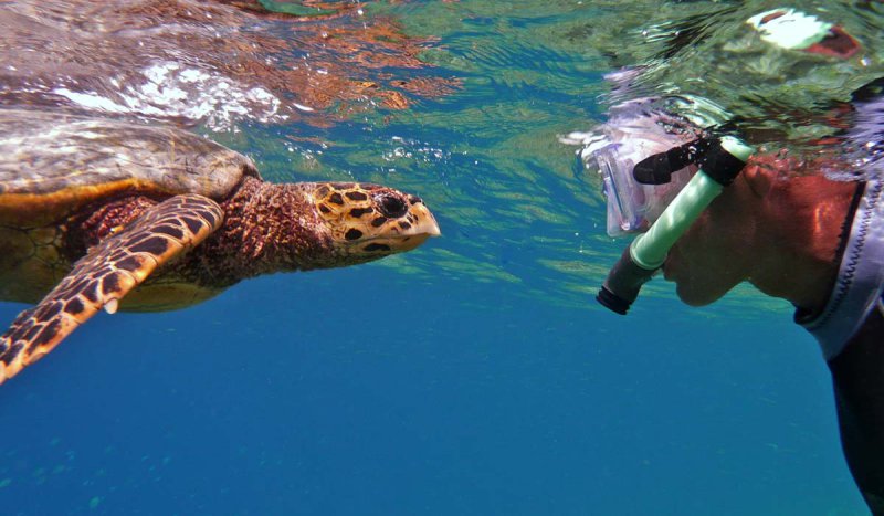 Snorkeling Tour