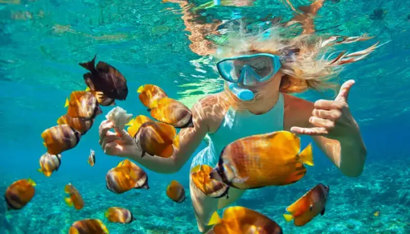 Snorkeling Tour