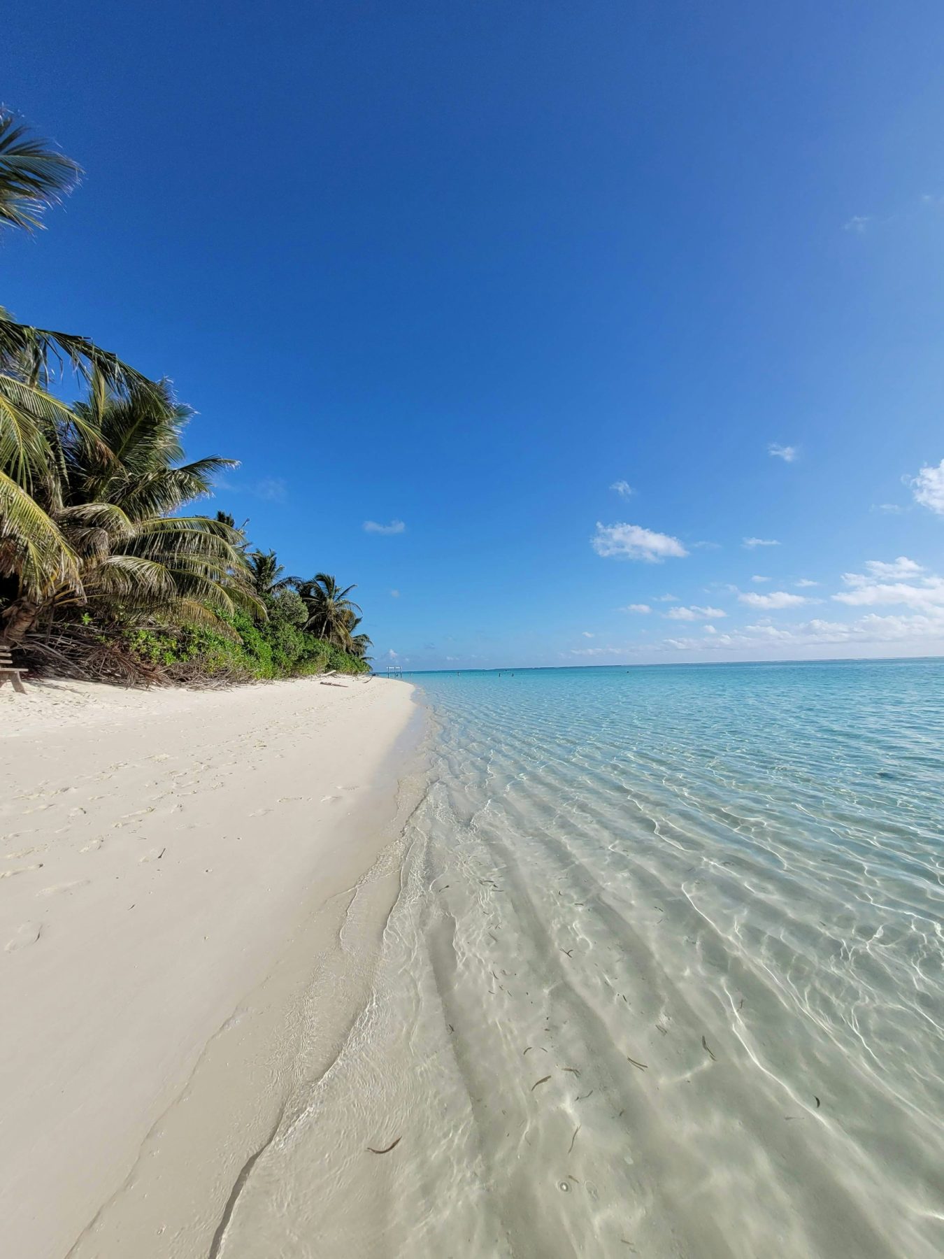 White sand beach and turquoise water in the Maldives (representative photo, not taken at Dhiffushi)