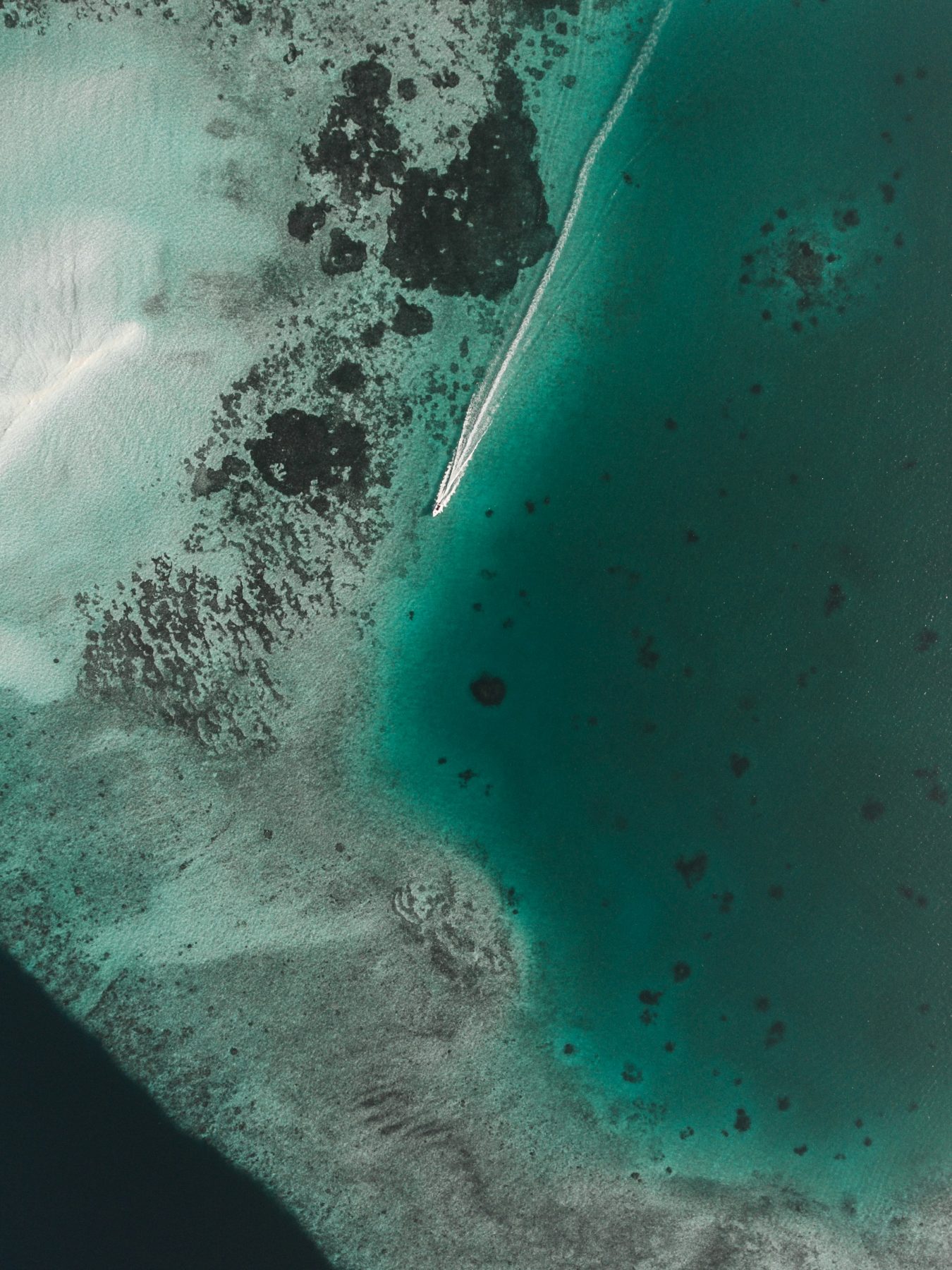 Speedboat crossing the turquoise lagoon near Guraidhoo Island, South Male Atoll, Maldives