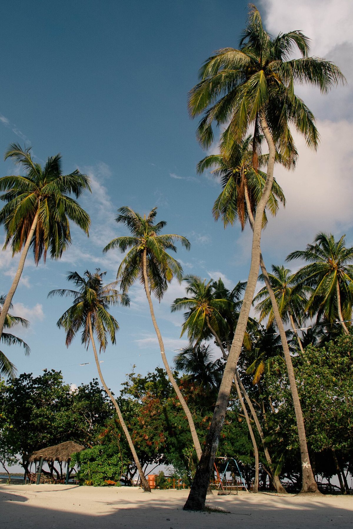 Jafana Park on Himmafushi Island, with white sand, palms and the lagoon, Maldives