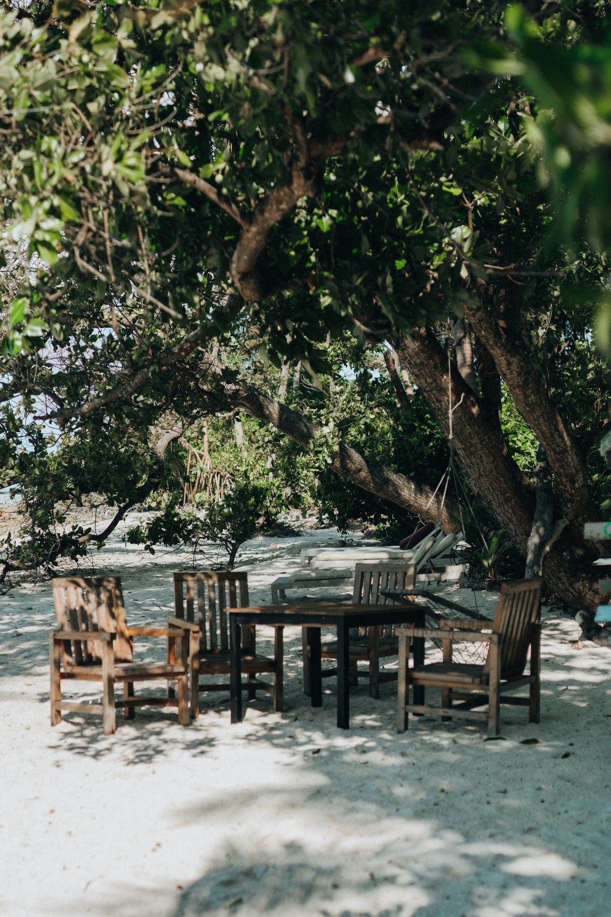 Table and chairs under a tree on a white sand Maldives beach (representative photo, not taken at Omadhoo)